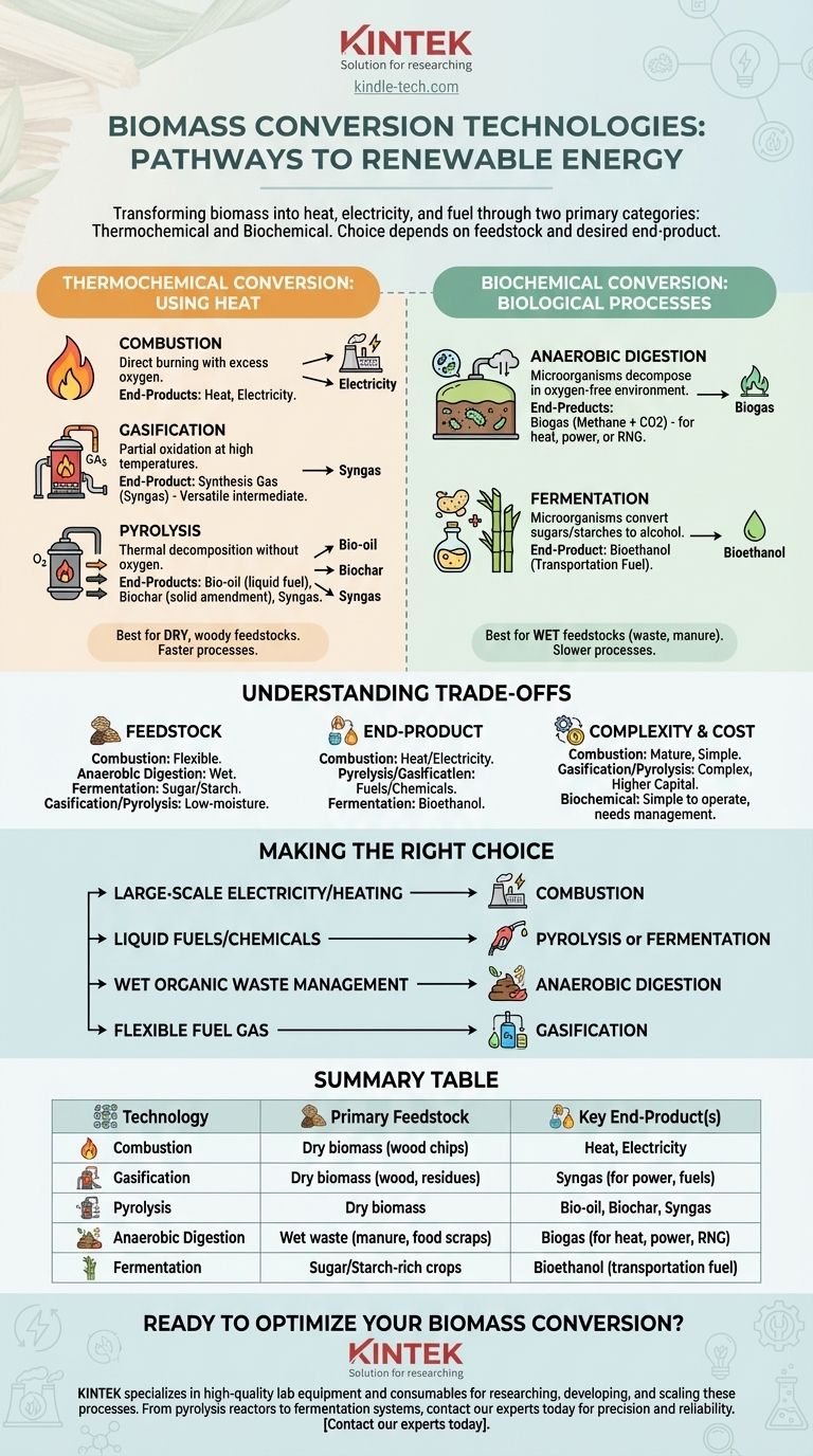 Какие существуют технологии преобразования биомассы? Руководство по термохимическим и биохимическим методам Визуальное руководство