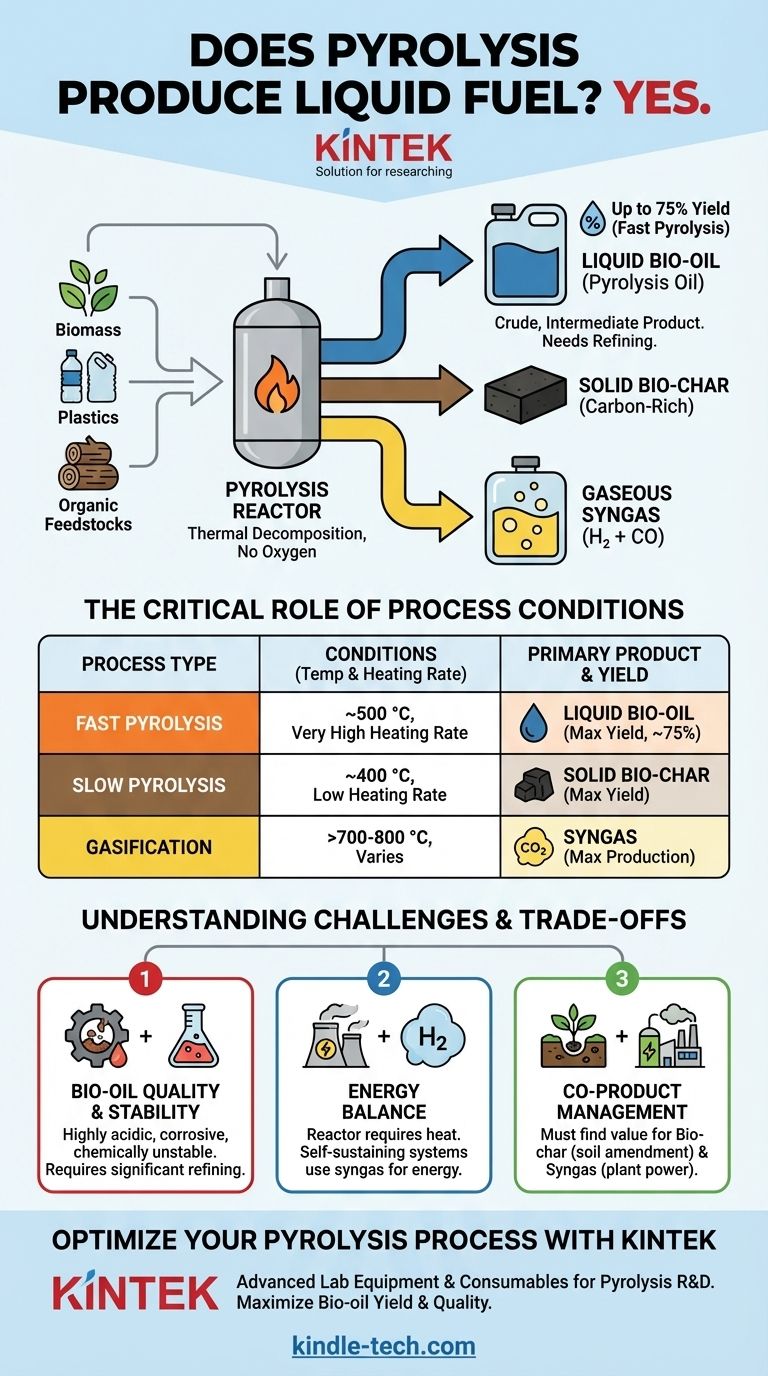La pirolisi produce combustibile liquido? Sì, crea bio-olio dalla biomassa e dai rifiuti. Guida Visiva