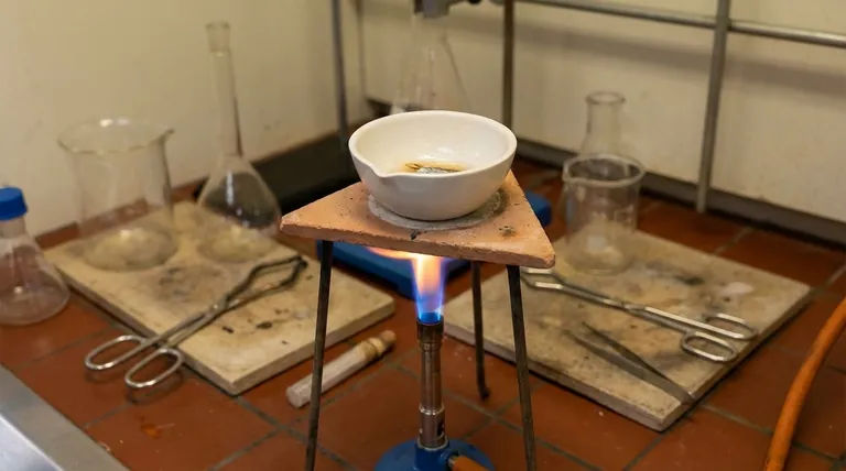 什么是瓷坩埚?高温实验室工作的必备指南