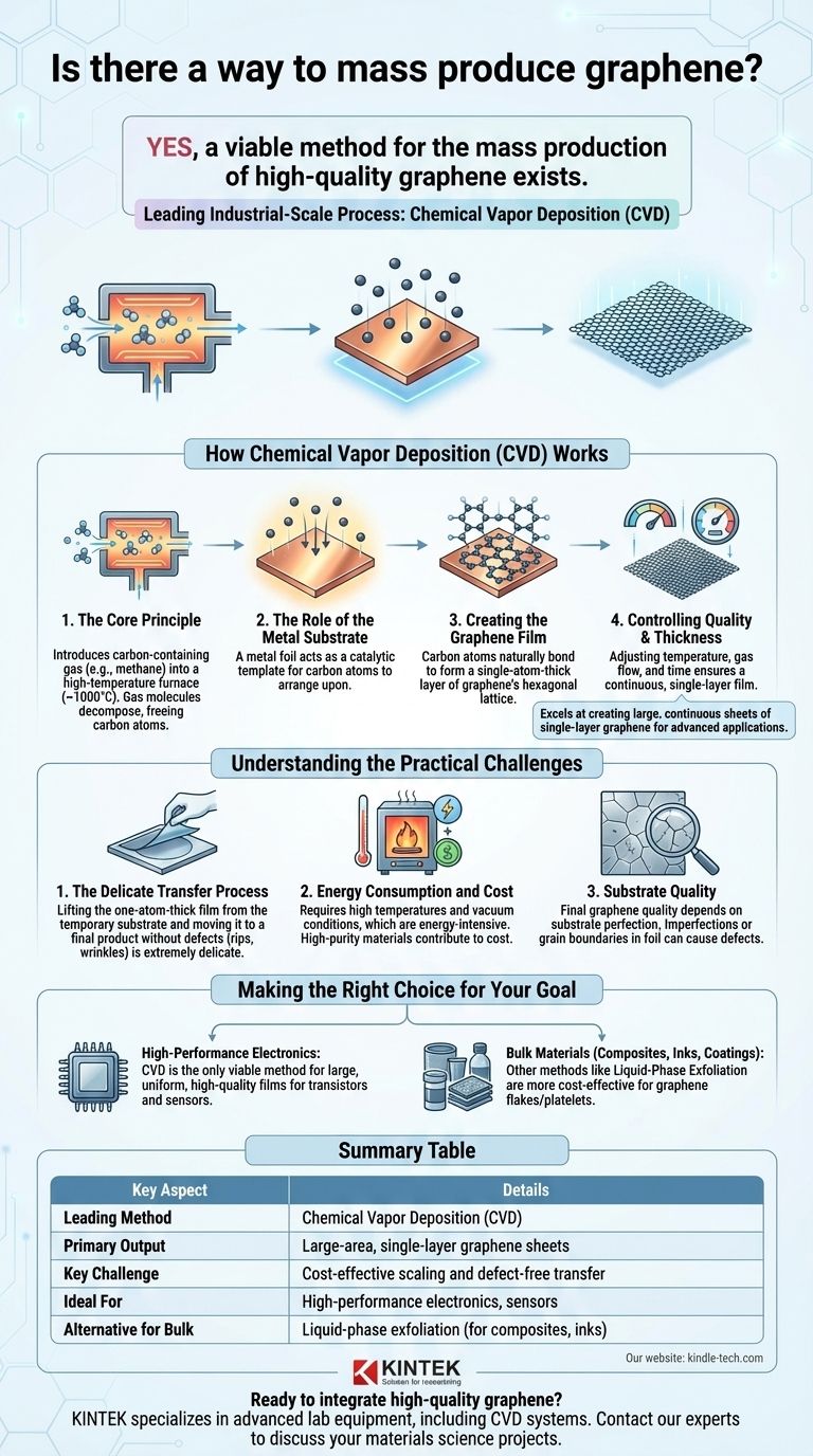 هل توجد طريقة لإنتاج الجرافين بكميات كبيرة؟ أطلق العنان للإنتاج على نطاق صناعي باستخدام تقنية الترسيب الكيميائي للبخار (CVD) دليل مرئي
