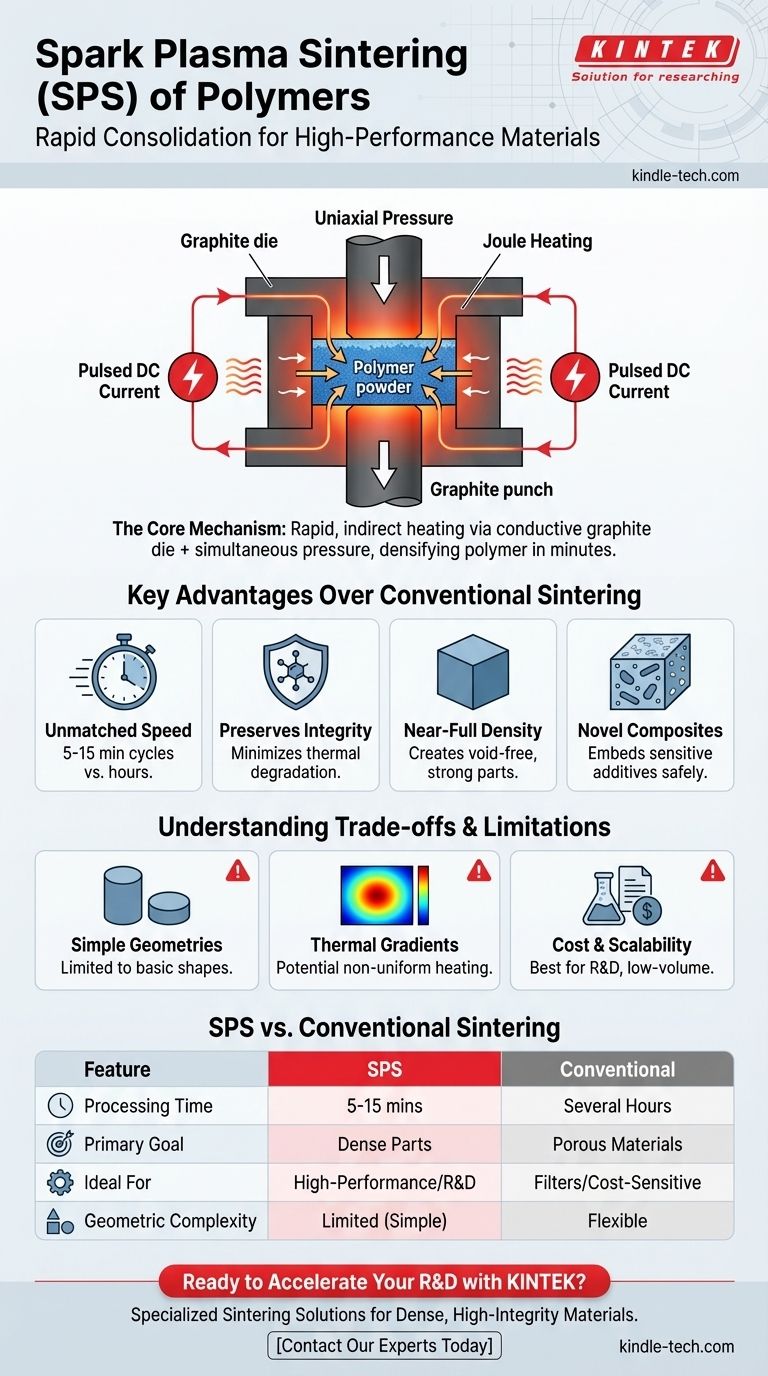 고분자의 스파크 플라즈마 소결이란 무엇인가요? 고밀도 고성능 재료를 신속하게 생성 시각적 가이드