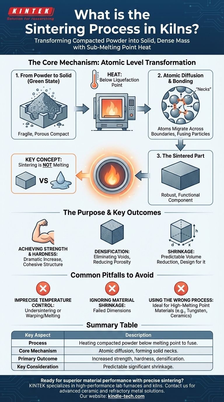 Was ist der Sinterprozess in Öfen? Pulver in dichte, hochfeste Komponenten umwandeln Visuelle Anleitung