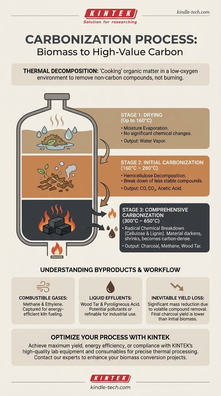 ¿Qué es el proceso de carbonización? Una guía completa para convertir biomasa en carbón vegetal Guía Visual