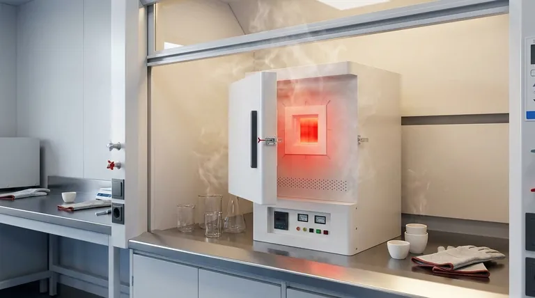 Quali sono gli svantaggi di un forno pirolitico? Valutare costi elevati e problemi di sicurezza