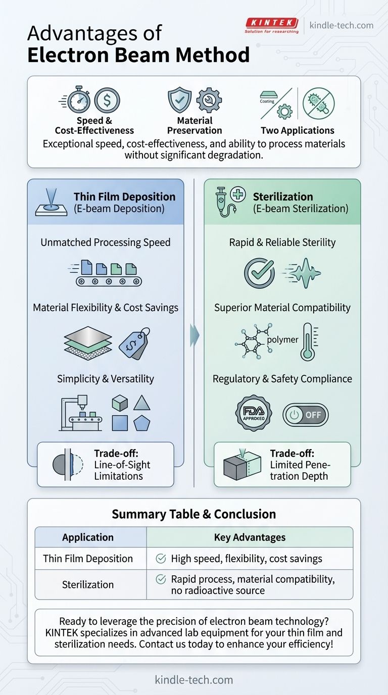 전자빔 방식의 장점은 무엇인가요? 속도, 비용 절감, 재료 무결성 달성 시각적 가이드