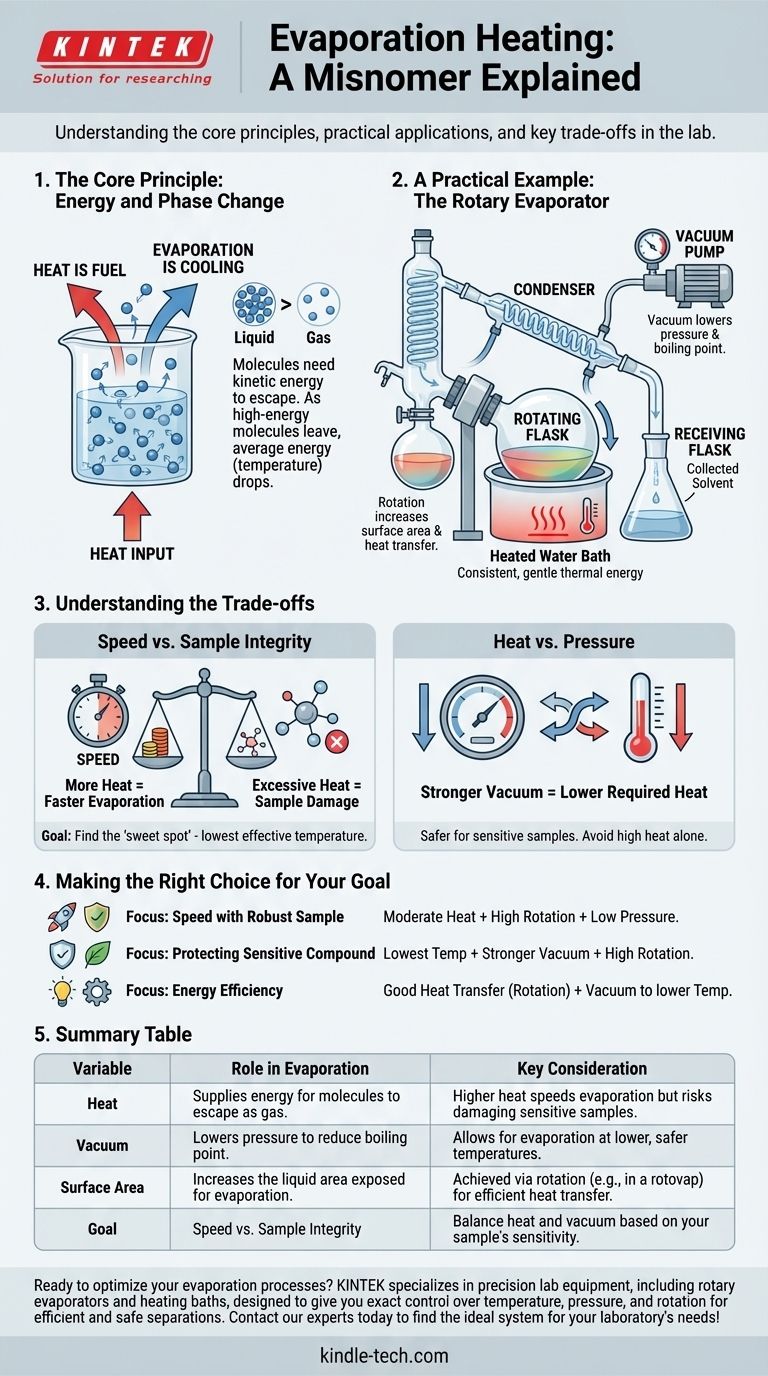 什么是蒸发加热？掌握热量、真空和表面积的平衡 图解指南