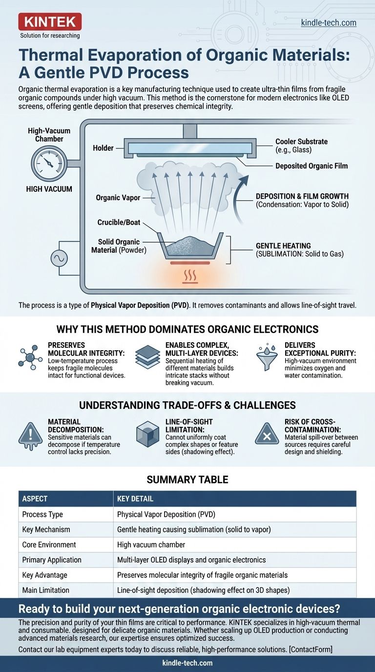 Cos'è l'evaporazione termica di materiali organici? Il metodo delicato per OLED ed elettronica Guida Visiva