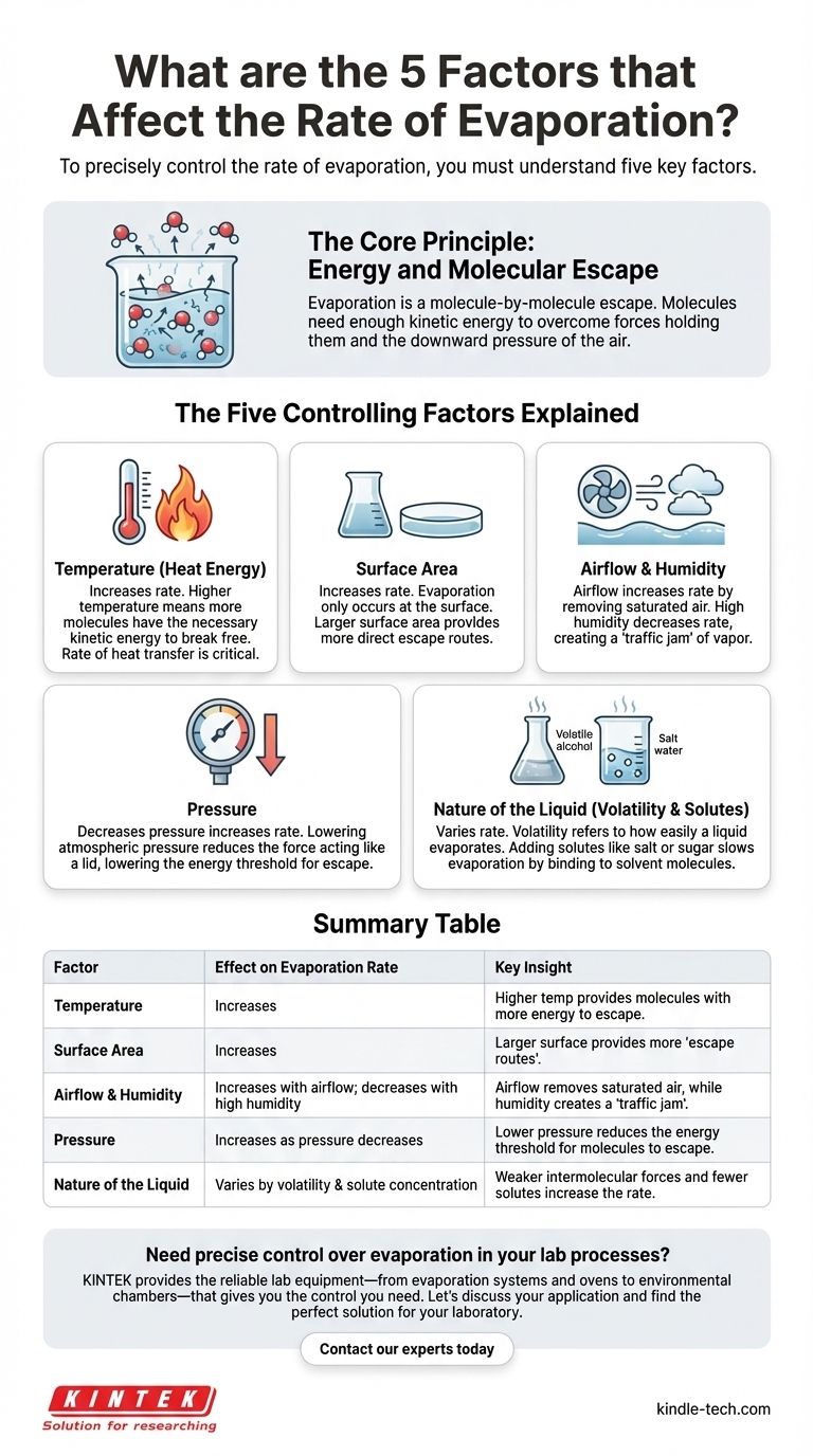 What are the 5 factors that affect the rate of evaporation? Master the Process for Your Lab Visual Guide