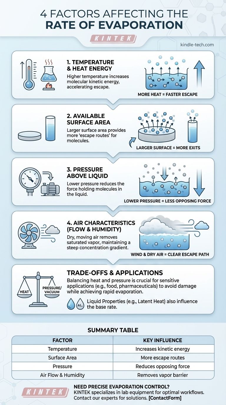 Quali sono i 4 fattori che influenzano il tasso di evaporazione? Controllo Master per processi di laboratorio e industriali Guida Visiva
