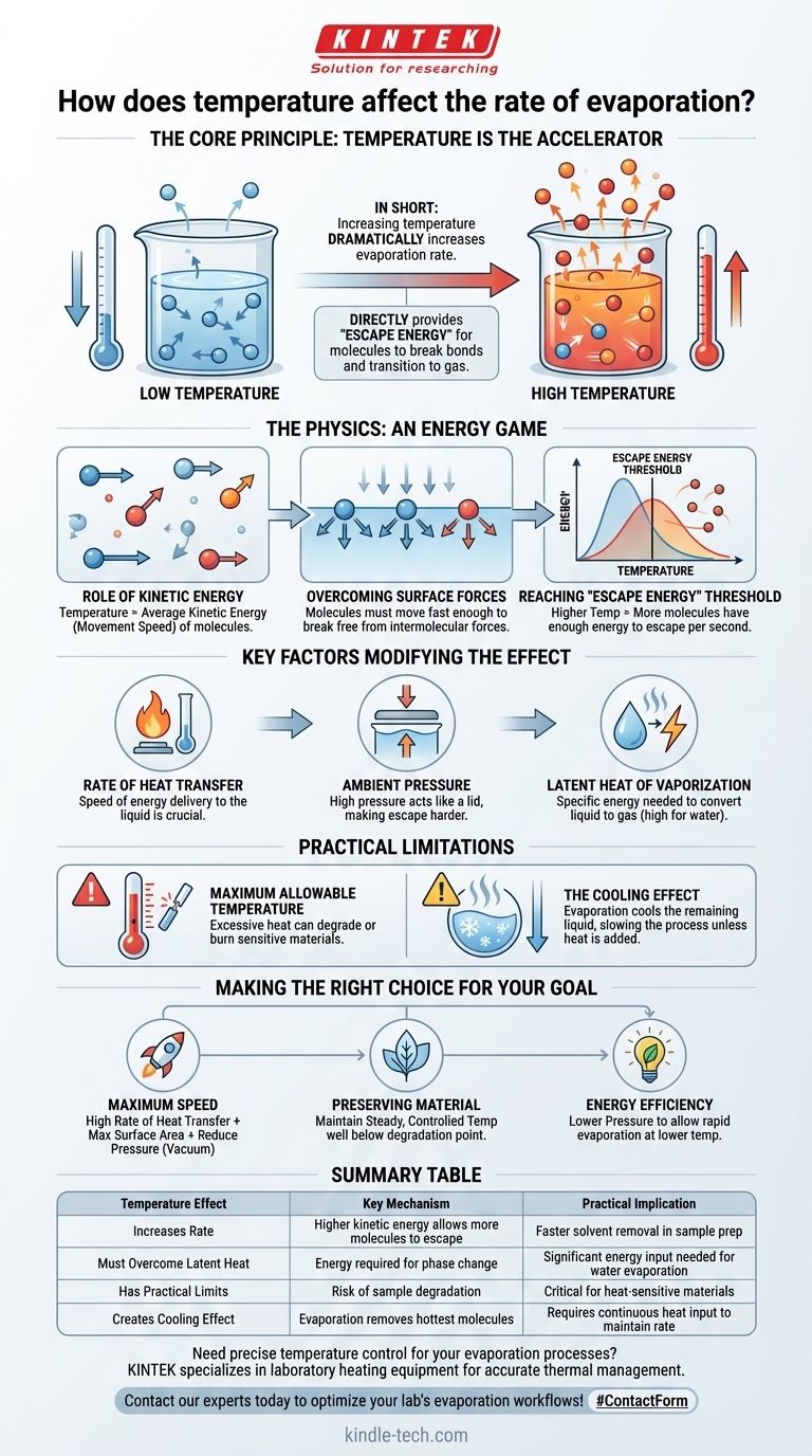 In che modo la temperatura influisce sulla velocità di evaporazione? Padroneggia la scienza per ottenere risultati migliori in laboratorio Guida Visiva