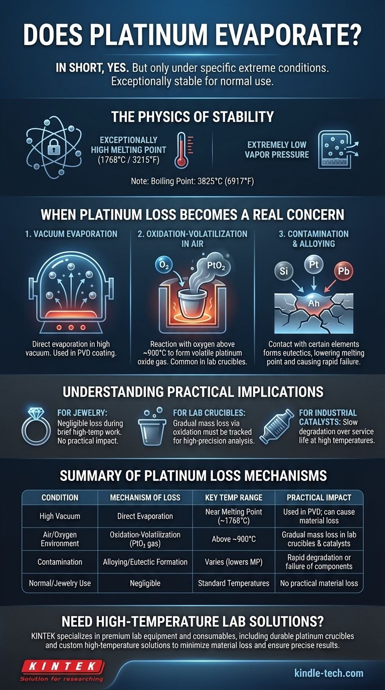 Il platino evapora? Comprendere la stabilità alle alte temperature e la perdita di materiale Guida Visiva