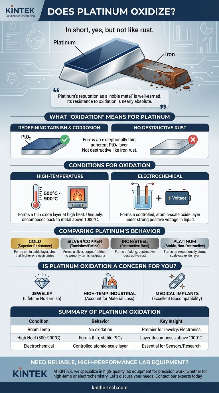 هل يتأكسد البلاتين؟ الحقيقة حول مقاومته القصوى للتآكل دليل مرئي