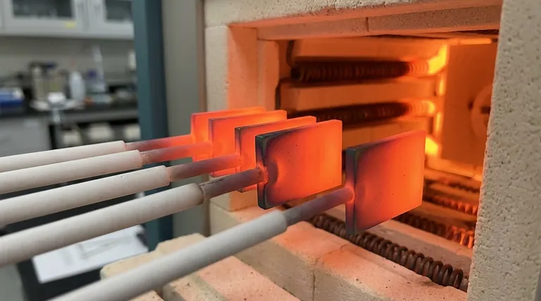 هل يتأكسد البلاتين؟ الحقيقة حول مقاومته القصوى للتآكل