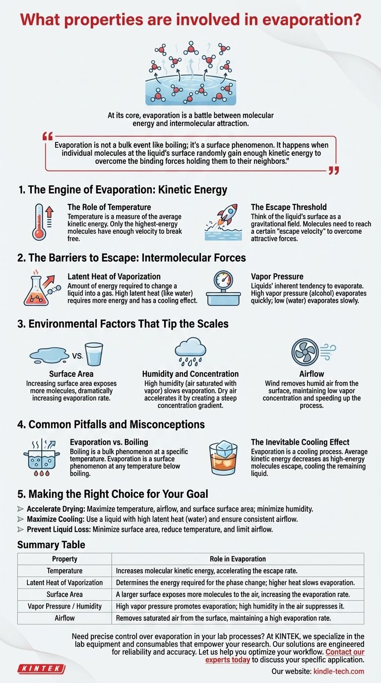Quali proprietà sono coinvolte nell'evaporazione? Padroneggia i fattori chiave per un'asciugatura efficiente Guida Visiva