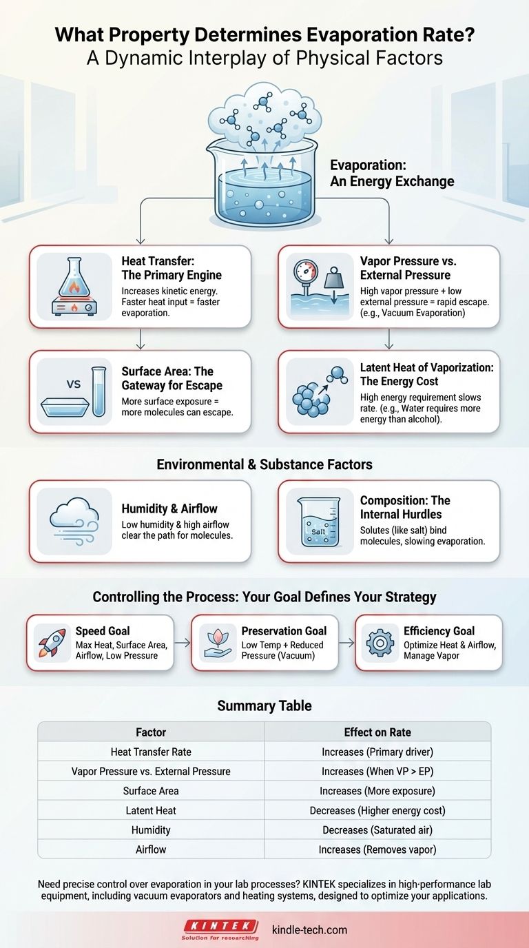 ما هي الخاصية التي تحدد معدل التبخر؟ تحكم في الحرارة والضغط ومساحة السطح للحصول على أفضل النتائج. دليل مرئي