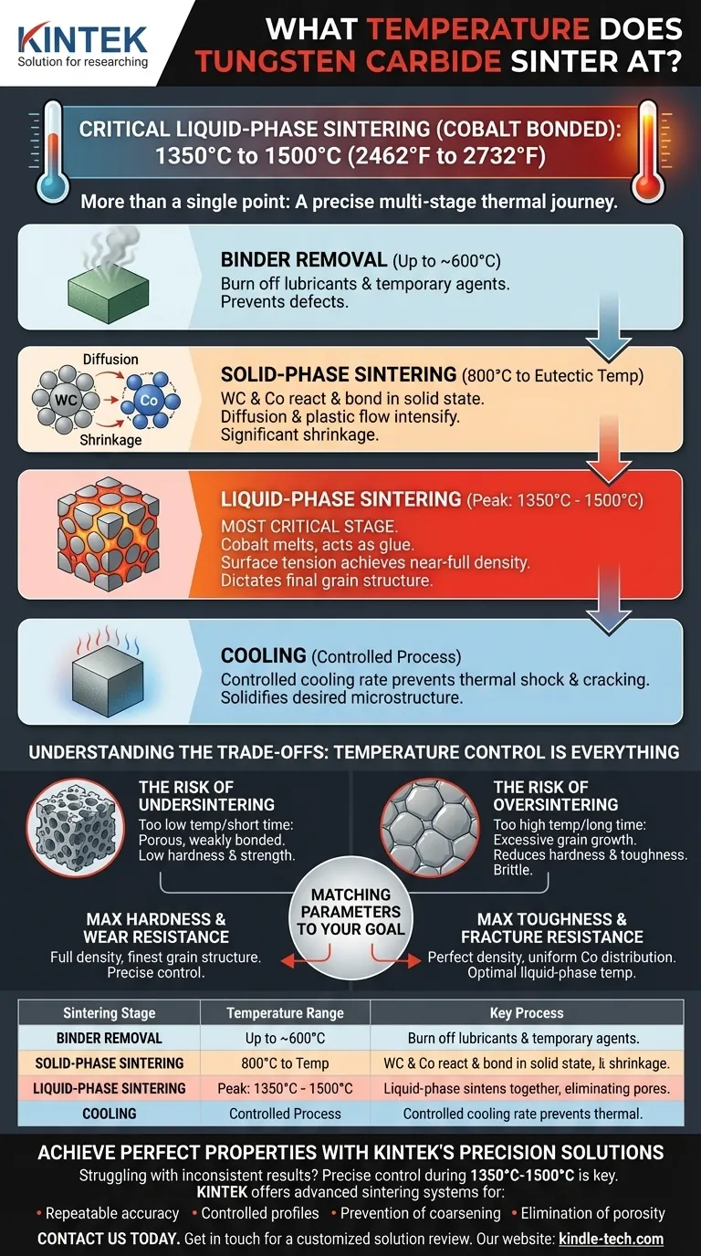 في أي درجة حرارة يتم تلبيد كربيد التنغستن؟ إتقان عملية التلبيد بالطور السائل عند 1350 درجة مئوية - 1500 درجة مئوية دليل مرئي