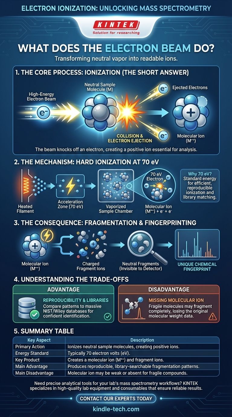 ¿Qué le hace el haz de electrones a la muestra vaporizada? Ionizar y fragmentar para la identificación de compuestos Guía Visual