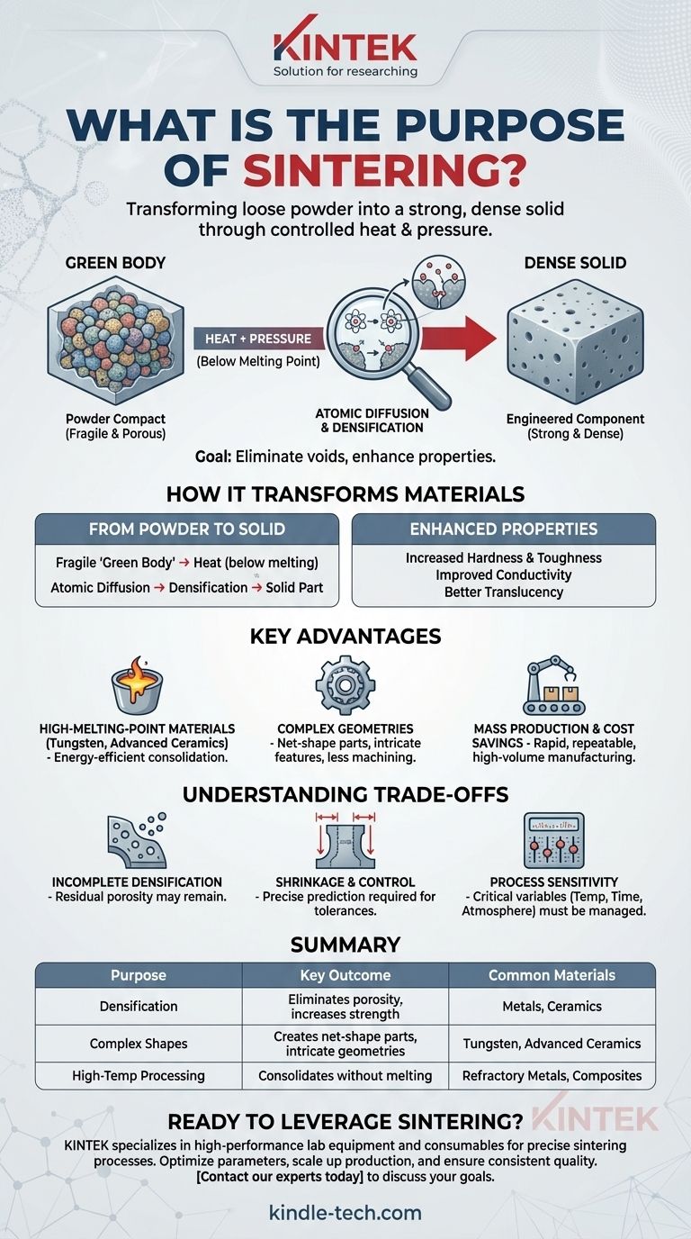 ما هو الغرض من التلبيد؟ تحويل المسحوق إلى أجزاء صلبة عالية الأداء دليل مرئي