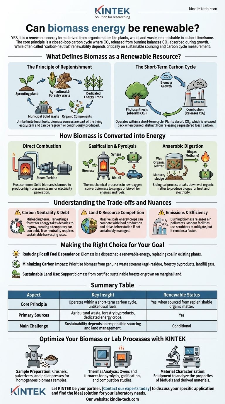 바이오매스 에너지는 재생 가능할 수 있는가? 지속 가능한 탄소 순환 이해하기 시각적 가이드