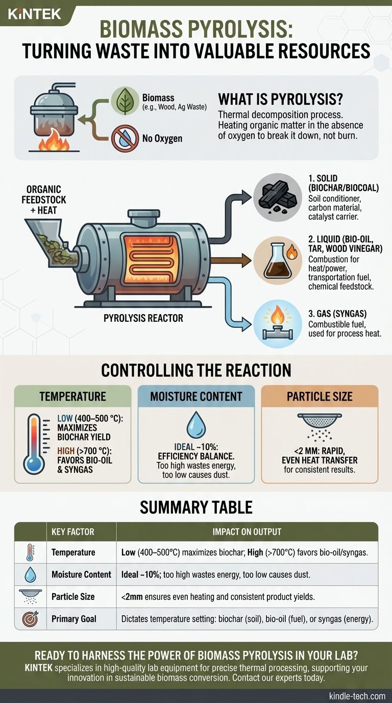 Quelle est la réaction de pyrolyse de la biomasse ? Un guide pour convertir les déchets en biochar, bio-huile et gaz de synthèse de valeur Guide Visuel