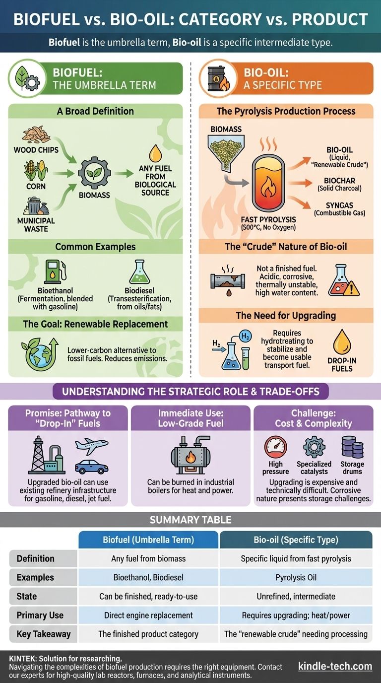 ما الفرق بين الزيت الحيوي والوقود الحيوي؟ دليل لأنواع واستخدامات الوقود المتجدد دليل مرئي