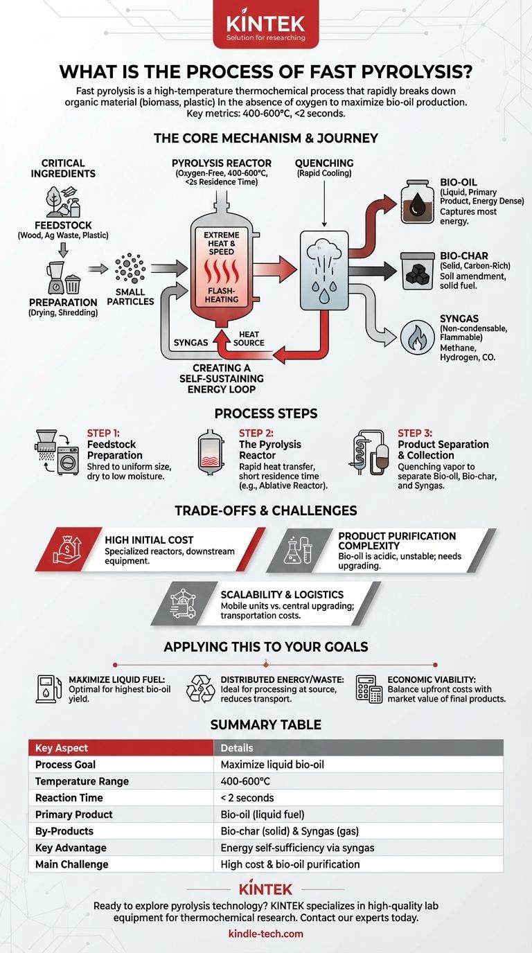 什么是快速热解过程？从生物质生产生物油的快速途径 图解指南