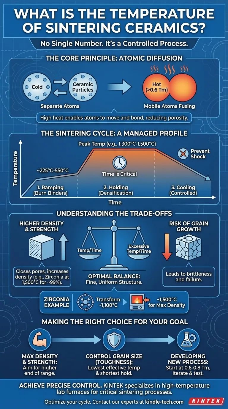 Какова температура спекания керамики? Освоение тепла для достижения оптимальной плотности и прочности Визуальное руководство