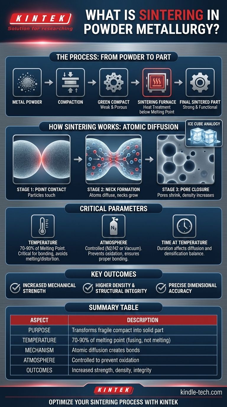 Was ist Sintern in der Pulvermetallurgie? Der Schlüssel zu starken, dichten Metallteilen Visuelle Anleitung