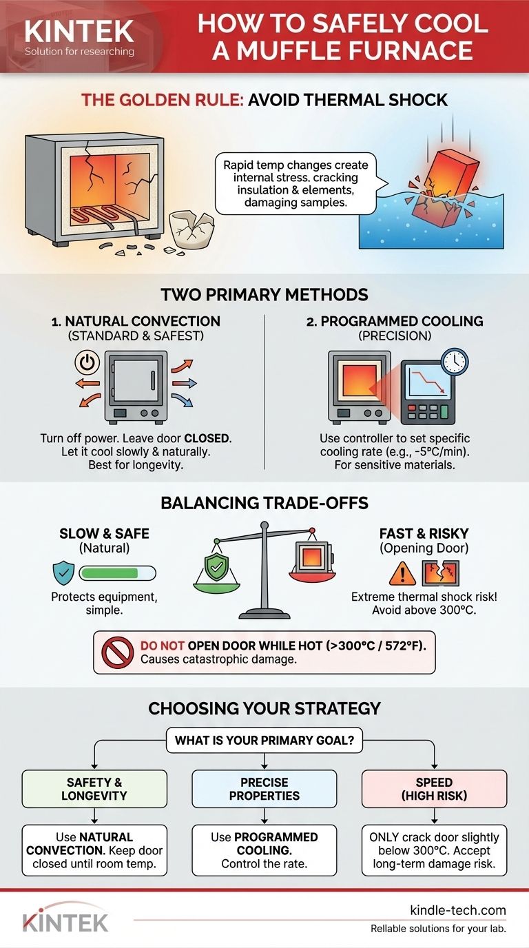 How do you cool a muffle furnace? Safeguard your equipment and samples from thermal shock. Visual Guide