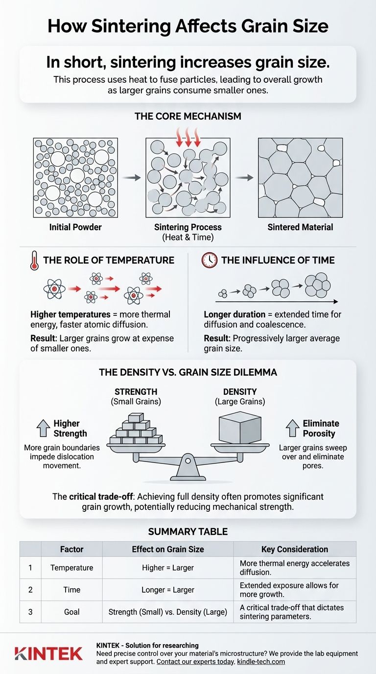 كيف يؤثر التلبيد على حجم الحبيبات؟ التحكم في البنية المجهرية للحصول على مواد أقوى دليل مرئي