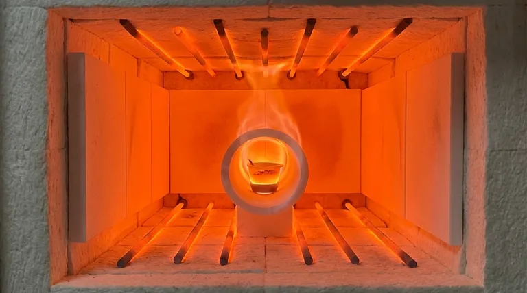 以下哪种材料用于炉子中以承受高温？极端高温的关键材料