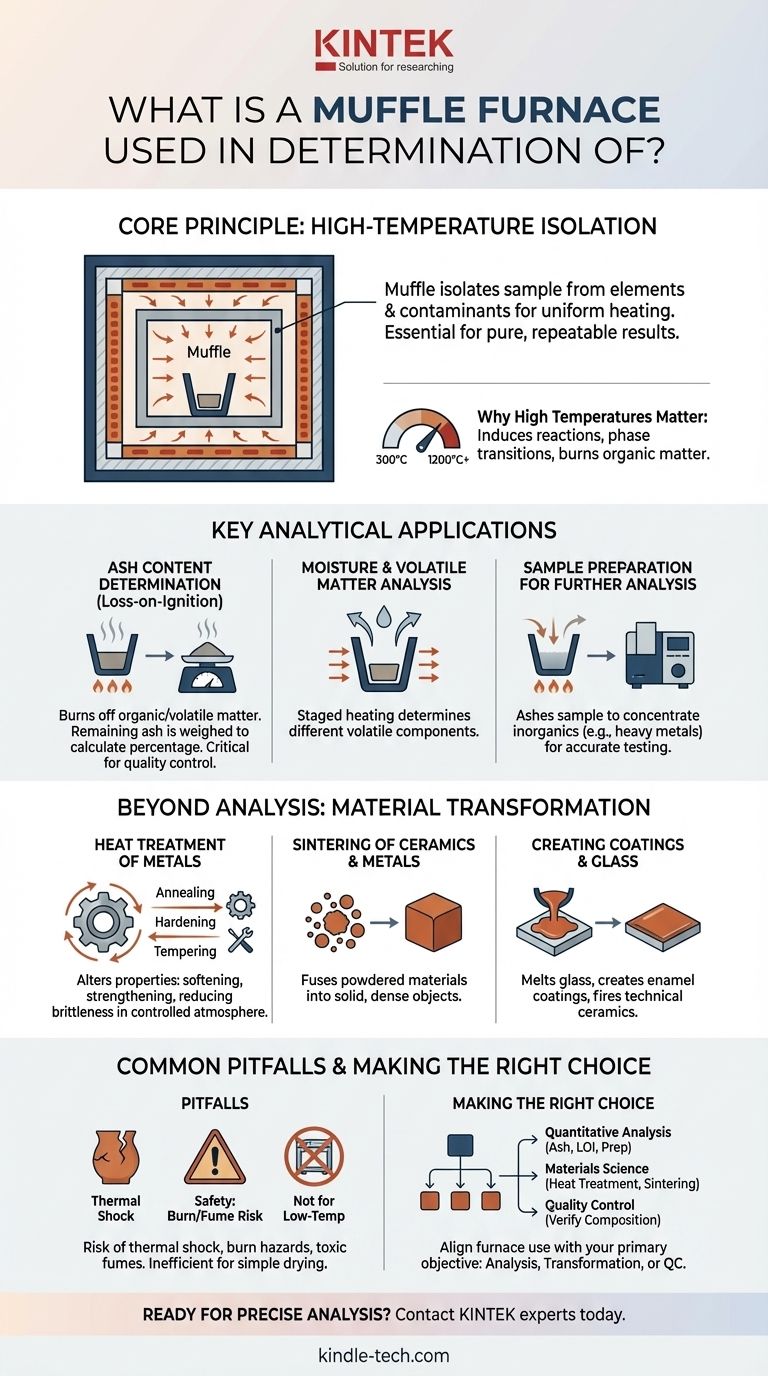 Wofür wird ein Muffelofen verwendet? Präzise Bestimmung von Aschegehalt und Materialzusammensetzung Visuelle Anleitung