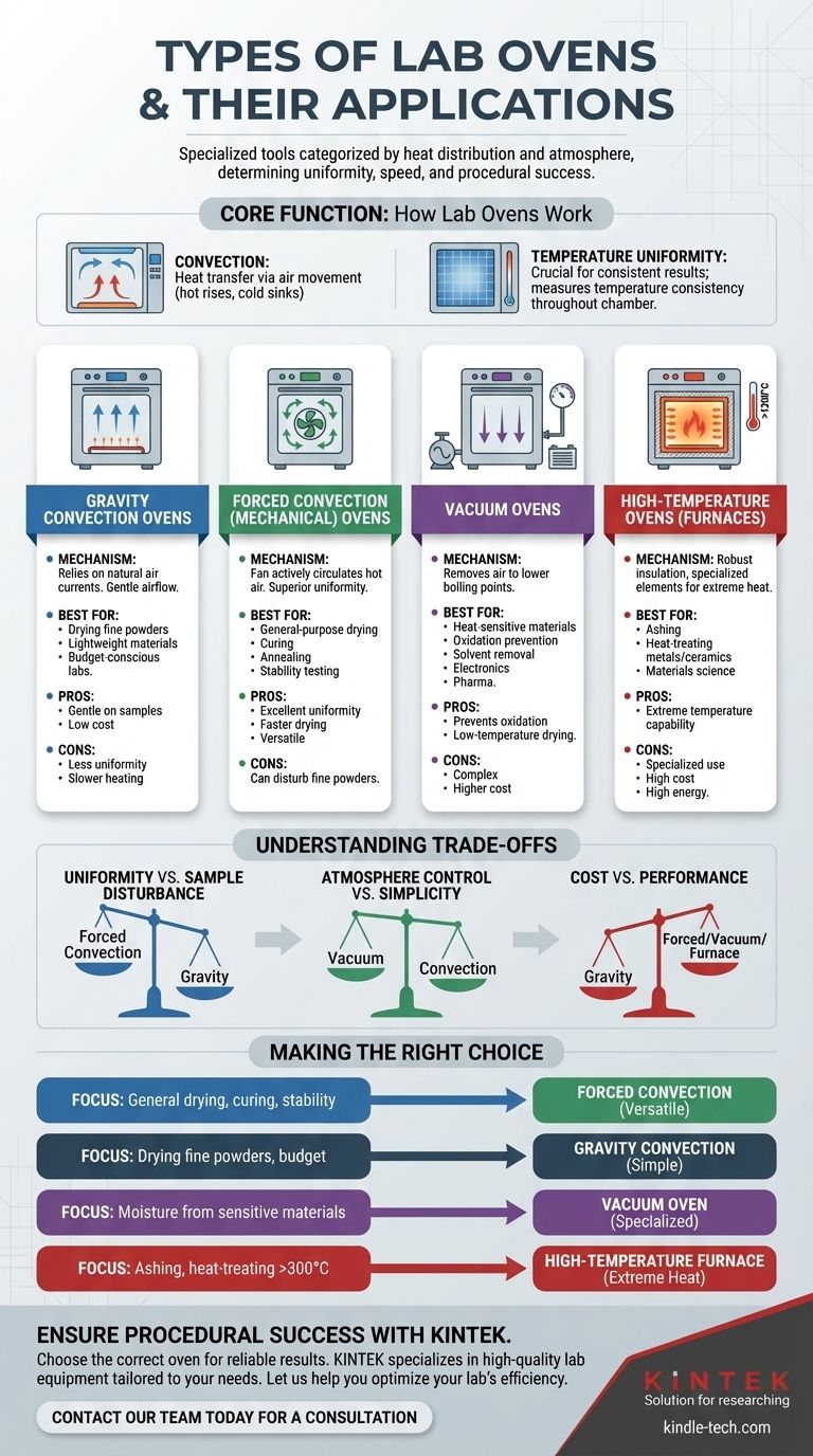 Welche Arten von Öfen gibt es im Labor? Ein Leitfaden zur Auswahl der richtigen Heizgeräte Visuelle Anleitung