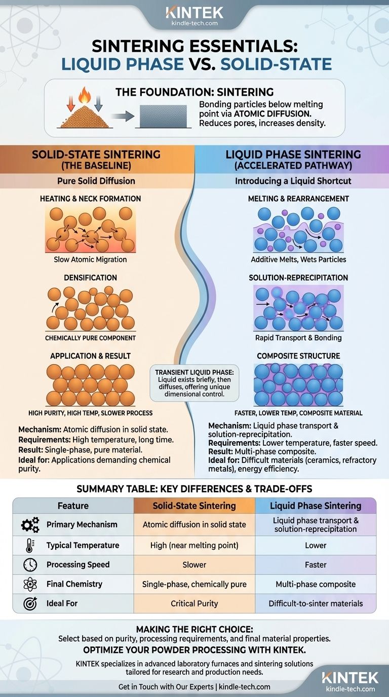 Was ist Sintern in der Flüssigphase und wie unterscheidet es sich vom Sintern im Festkörper? Ein Leitfaden für schnellere, dichtere Materialien Visuelle Anleitung
