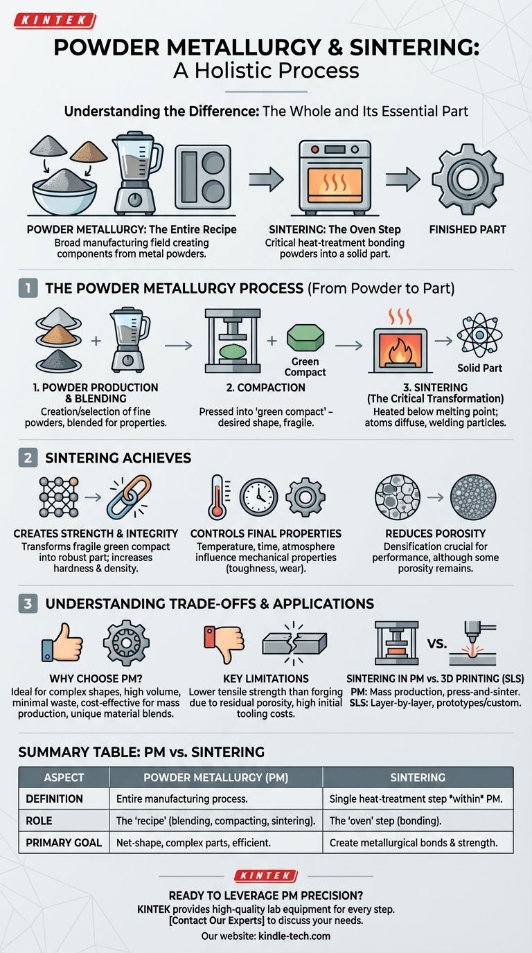 粉末冶金と焼結の違いは何ですか？効率的な金属部品製造の鍵を解き明かす ビジュアルガイド
