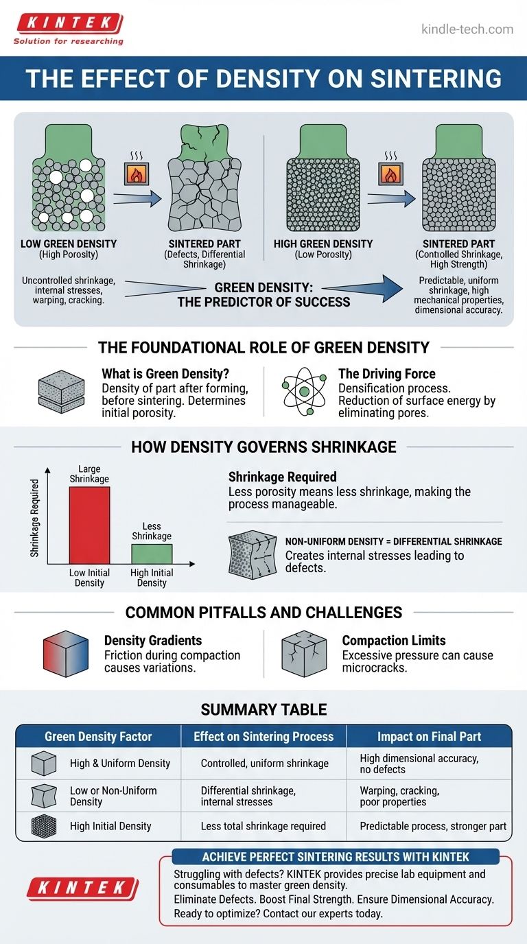 Qual è l'effetto della densità sulla sinterizzazione? Ottenere qualità superiore e precisione dimensionale Guida Visiva