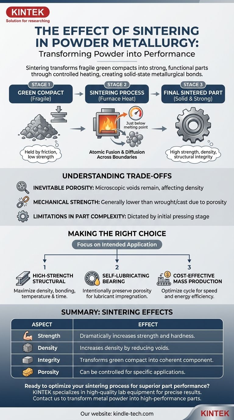 ما هو تأثير التلبيد في تعدين المساحيق؟ تحويل المسحوق إلى أجزاء قوية وعملية دليل مرئي