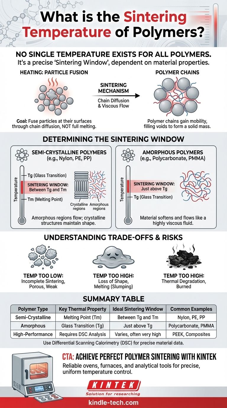 Qual è la temperatura di sinterizzazione dei polimeri? Trova la finestra di sinterizzazione perfetta per il tuo materiale Guida Visiva