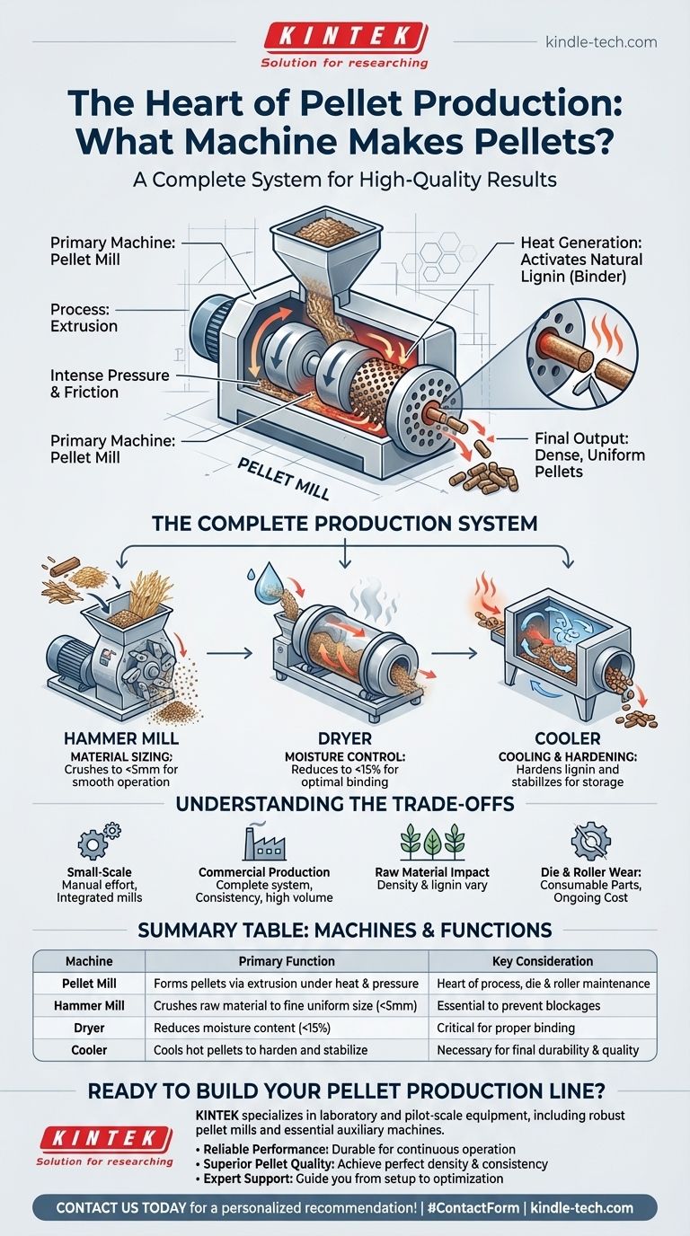Quelle machine est utilisée pour fabriquer des granulés ? Le guide complet des presses à granulés et des systèmes de production Guide Visuel