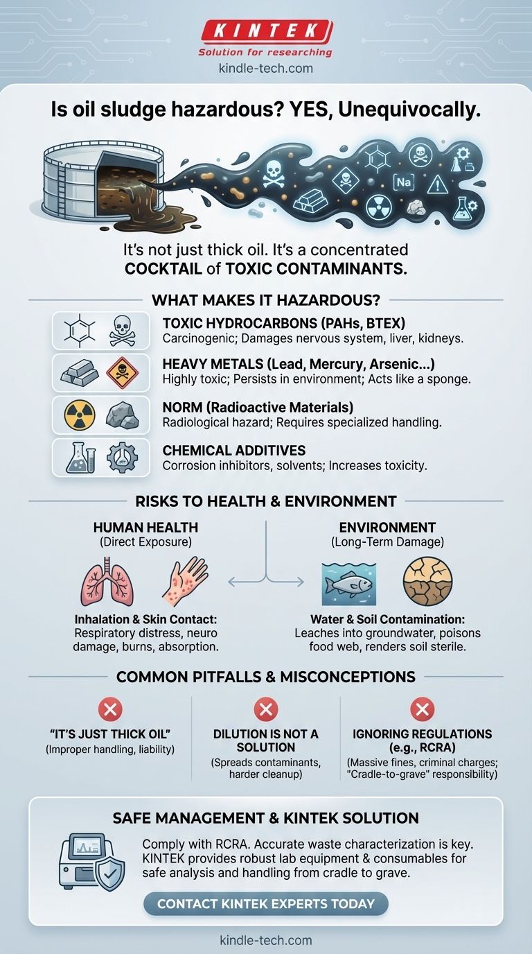 O lodo de óleo é perigoso? Compreendendo os Riscos Críticos e Regulamentações Guia Visual
