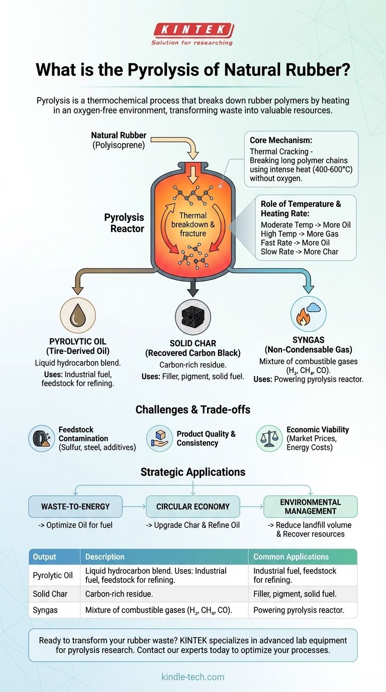What is the pyrolysis of natural rubber? A Sustainable Solution for Tire and Rubber Waste Visual Guide