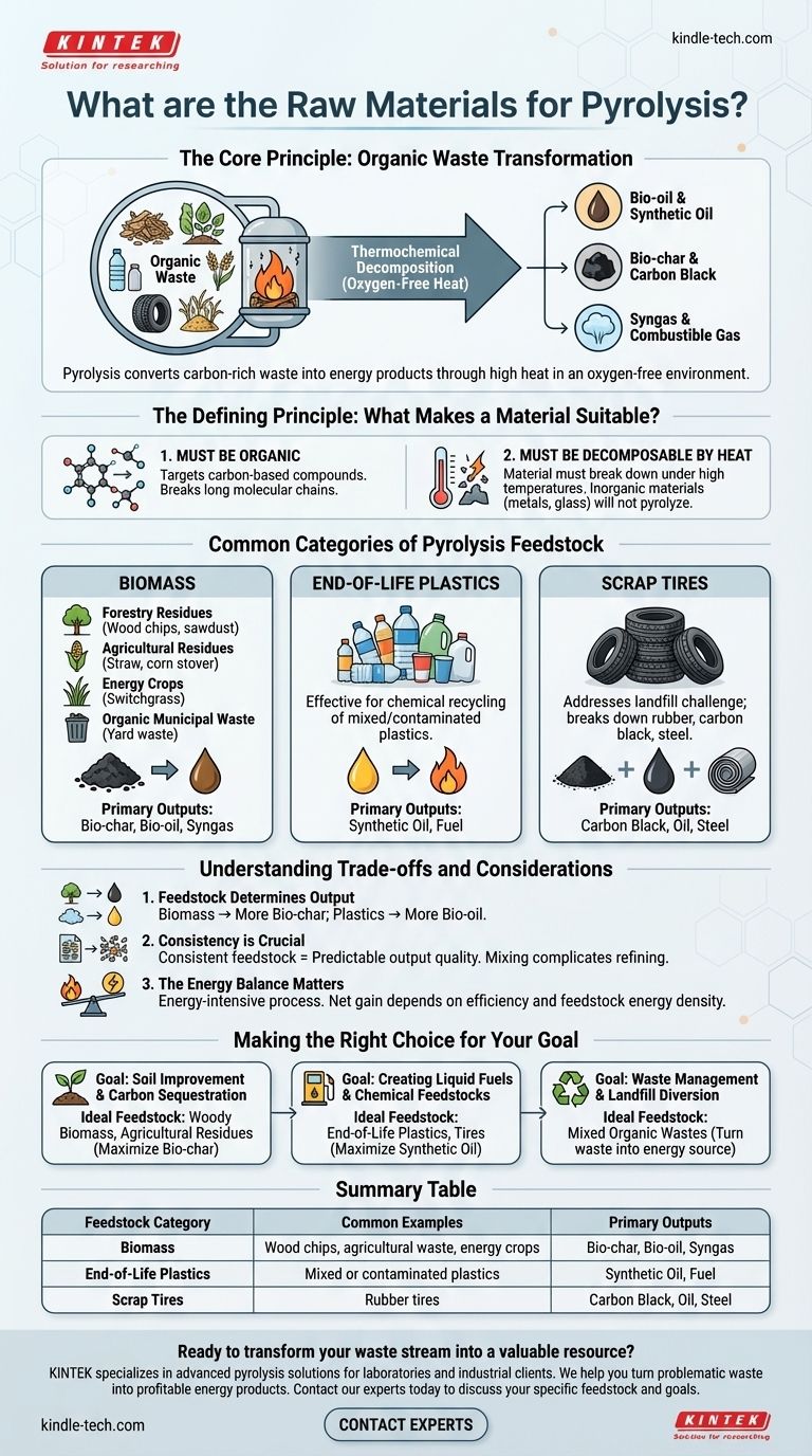 Quais são as matérias-primas para pirólise? Do Lixo à Energia com Matérias-Primas Versáteis Guia Visual