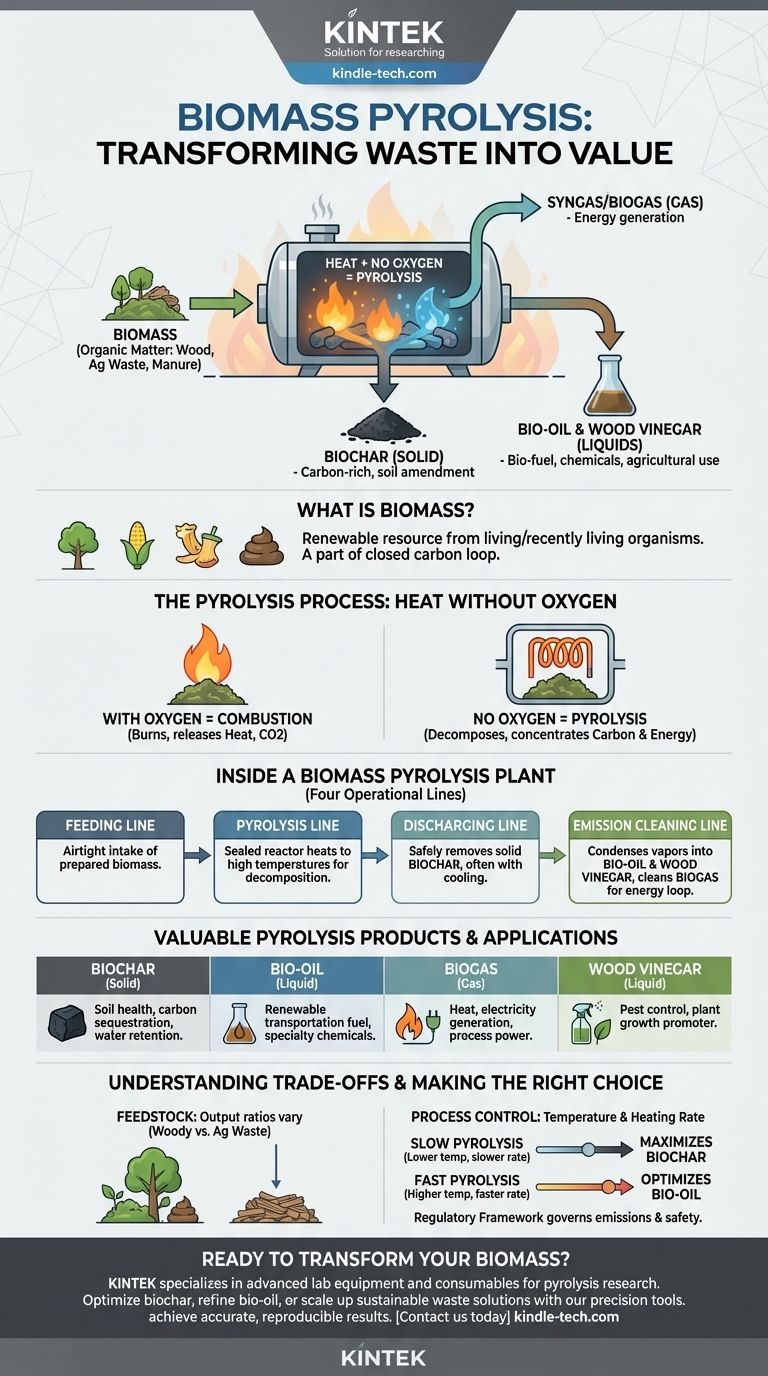 バイオマスとは何か、そしてバイオマス熱分解のプロセスを説明してください。廃棄物を貴重な資源に変換するためのガイド ビジュアルガイド