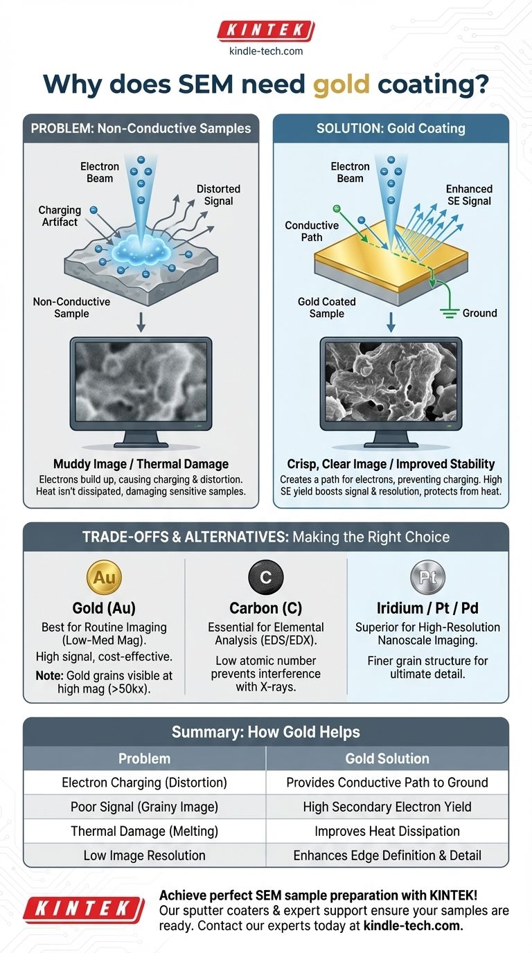 SEM에 금 코팅이 필요한 이유는 무엇인가요? 충전 방지 및 선명한 이미지 획득 시각적 가이드