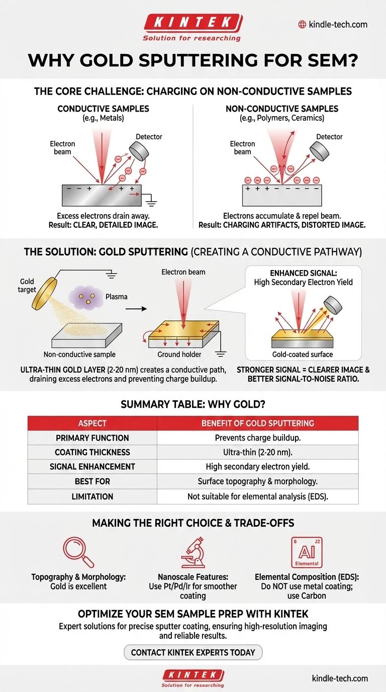 Warum wird Goldsputtern für REM verwendet? Erreichen Sie klare, hochauflösende Abbildungen von nichtleitenden Proben Visuelle Anleitung