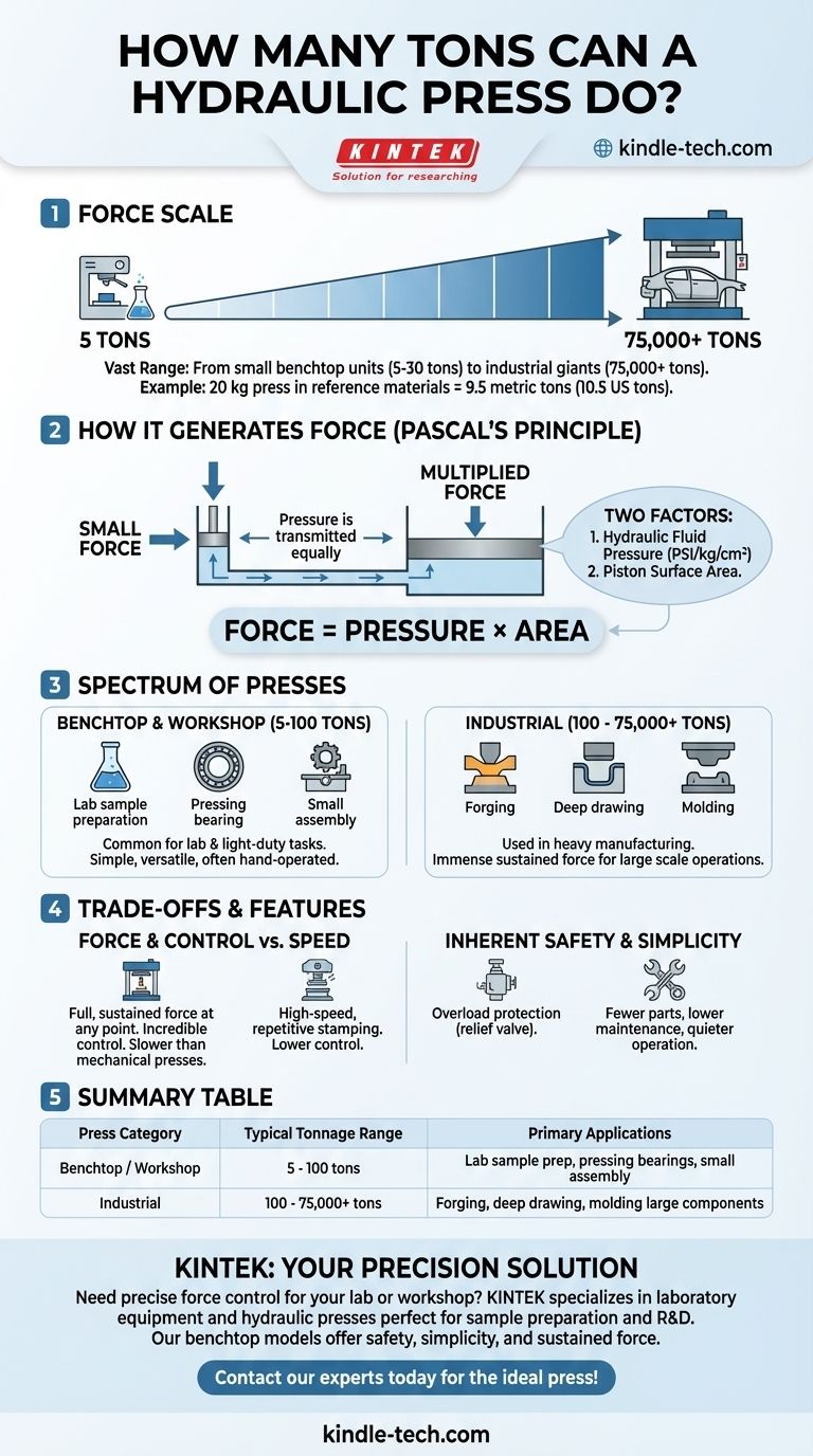 Сколько тонн может выдержать гидравлический пресс? От настольных установок на 5 тонн до промышленных гигантов на 75 000 тонн Визуальное руководство