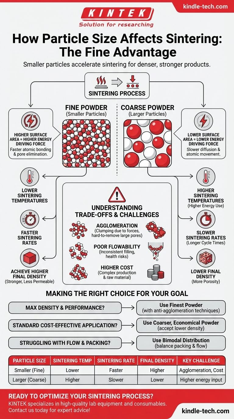 كيف يؤثر حجم الجسيمات على التلبيد؟ افتح نتائج أسرع وأكثر كثافة باستخدام المساحيق الناعمة دليل مرئي