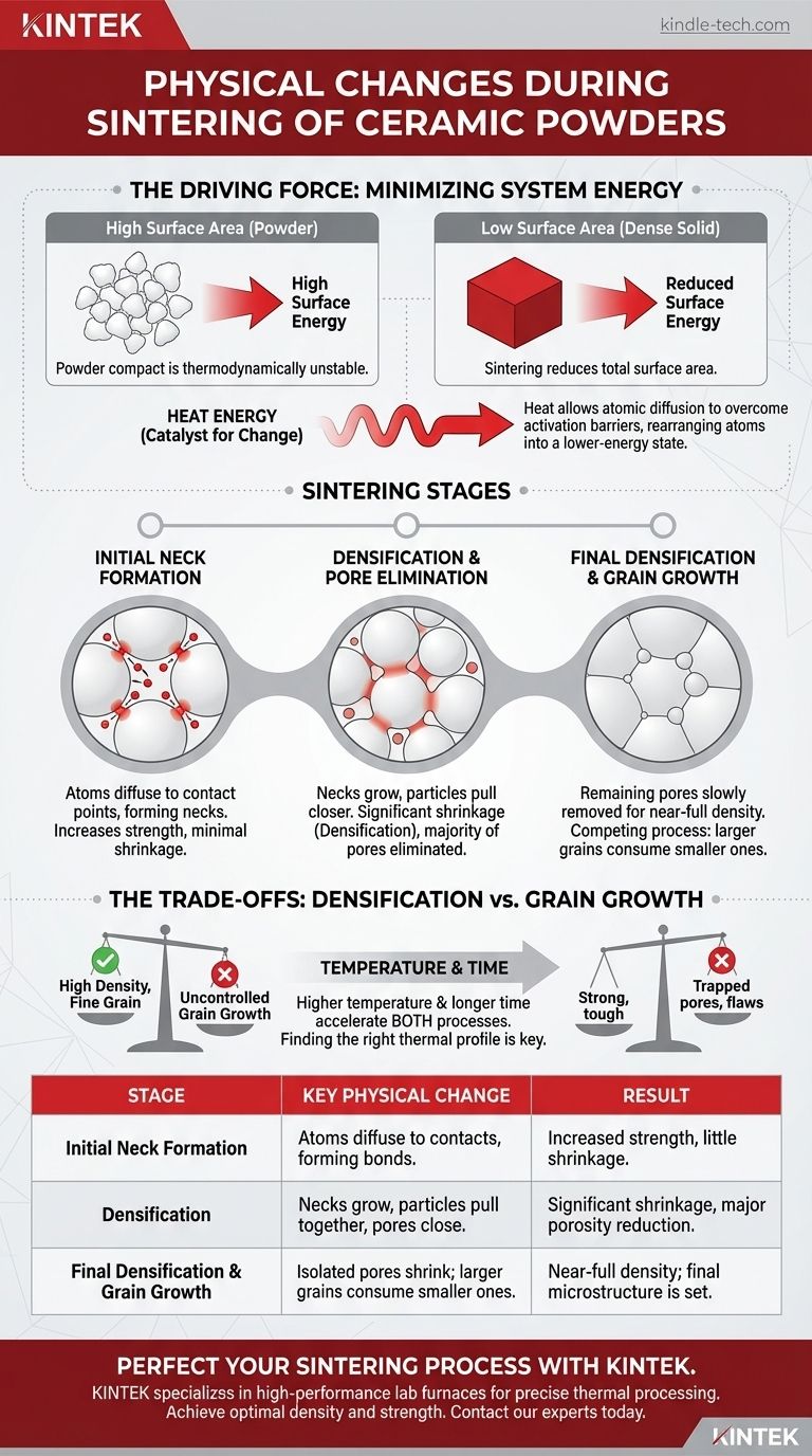 Quels changements physiques se produisent lors du frittage des poudres céramiques ? Maîtrisez la transformation en pièces denses et solides Guide Visuel