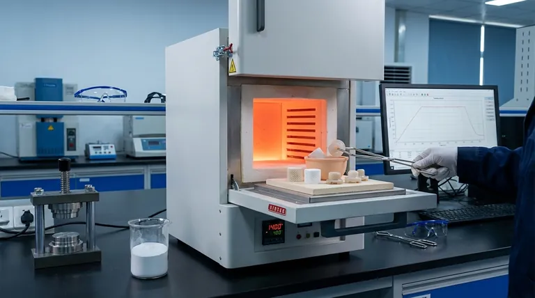 陶瓷粉末烧结过程中会发生哪些物理变化?掌握向致密、坚固部件的转变