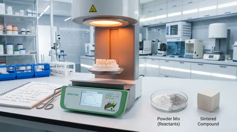 ما هي عملية التلبيد للتفاعلات الكيميائية؟ دليل إلى التلبيد التفاعلي وتكثيف المواد